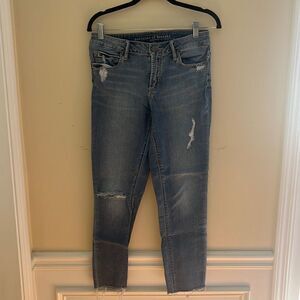 Articles of Society Distressed Skinny Jean